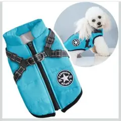 Item thumbnail for item 650fbbb3-a582-4fc3-8c5c-a93470cb8bc3