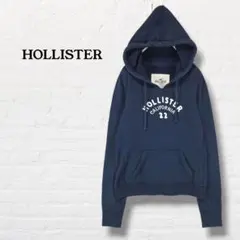 Hollister ホリスター☆プルオーバー パーカー アップリケ Y2K【M】のサムネイル