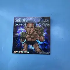 Item thumbnail for item 7743bdc7-c83a-4142-a64b-cfef744d154c