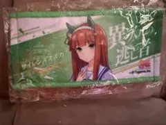 Item thumbnail for item 41c06eb5-6cc1-4d42-a3ff-503d798bd735