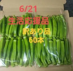번역이 포함된 신선한 오크라 60병 (생명을 지탱하는 마지막 제품)