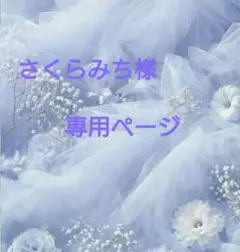 ご確認ページさくらみち様専用