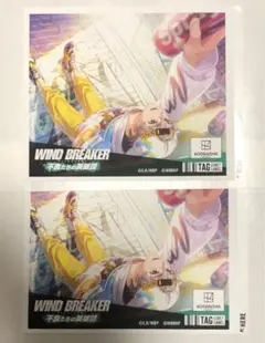 WINDBREAKERラベル缶兎耳山丁子ウィンヒロウィンブレステッカーアク