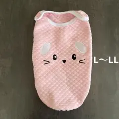 Item thumbnail for item c8aed005-c682-4dbe-a723-884c505e9cbe