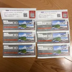 日本駐車場開発 株主優待券 リフト アクティビティ割引券 6枚