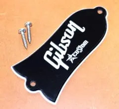 GIBSON FLYING V ビンテージトラスロッドカバー - メルカリ