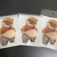 【訳あり】柴犬 お腹 ぷにぷにシール3枚セット