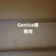 Genius様 専用 スパイダーマン マスク フィギュア ブランドニューディ