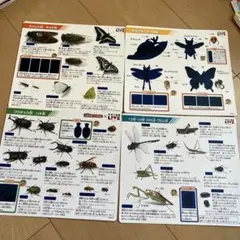 学研の図鑑　おふろでスタディ！　昆虫