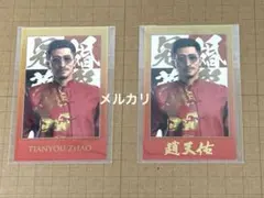 龍が如く 冠婚葬祭展 ショットイメージカードコレクション 趙天佑