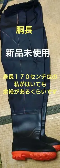 Item thumbnail for item 25d74d9c-edcc-48e9-b81c-57d3492bae7f