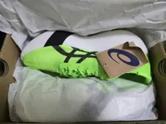 ASICS METASPEED RAY グリーンゲッコー/ブラック 28.0cm