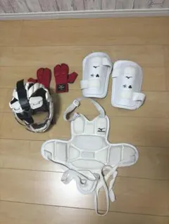 Mitsuwa Tiger ミズノキャッチャー防具セット - メルカリ