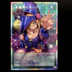 2026年最新】黒魔導のカーテンプリシクの人気アイテム - メルカリ