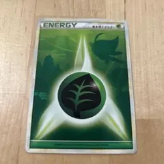 2025年最新】草エネルギー セレビィの人気アイテム - メルカリ