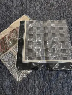 Item thumbnail for item f2c50ca3-204e-4646-bcbe-5227ba227c2c