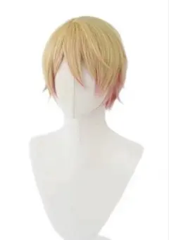 にじさんじ 風楽奏斗 ふうらかなと ウィッグ コスプレ - メルカリ