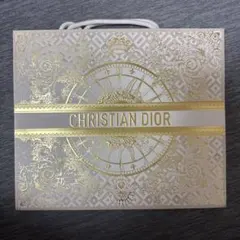 Christian Dior ショッピングバッグ 大