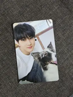 ENHYPEN FC ジョンウォン　アンケートトレカ　2025