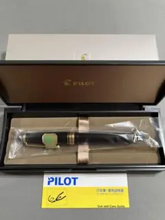 Namiki パイロット キャップレス 螺鈿 ストライプ 万年筆 - メルカリ