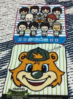 日本ハム　ファイターズ タオルセット 2枚組