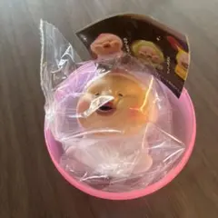 こびとづかん ライトマスコット カクレモモジリ ガチャ