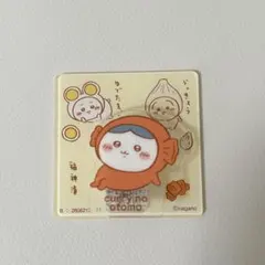 【シール付き】ちいかわ アクリルシーンクリップビスケット ハチワレ