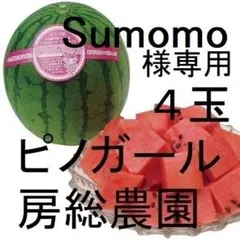 ４・大阪府・Sumomo様・ピノガール