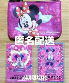 ディズニー　リゾートライン　フリーきっぷ　パークチケット柄　ポーチ　ミニー