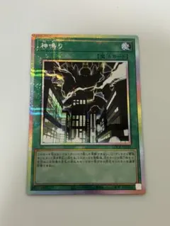 遊戯王　神鳴り　プリシク