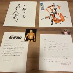 2025年最新】藤波辰爾サインの人気アイテム - メルカリ