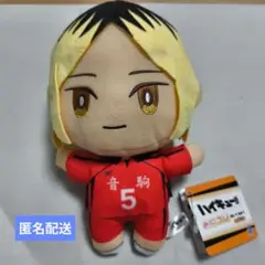 ハイキュー!!みにコレ！ぬいぐるみ1　狐爪研磨　音駒　5