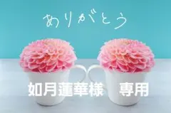 如月蓮華様　専用