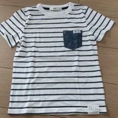 MPS ボーダーTシャツ 130 ライトオン