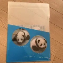 Item thumbnail for item 500457ea-9608-4106-b6de-06673ae3e5c7