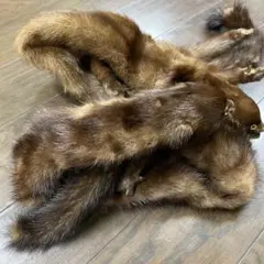 ✨リアルファー　イタチ？　ミンク？　テン？　2本セット✨のサムネイル