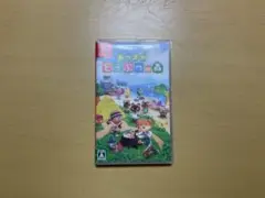 あつまれ どうぶつの森 Nintendo Switch