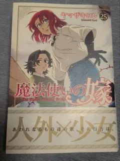 魔法使いの嫁 25