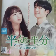 半分の半分 声で繋がる愛　DVD　韓国ドラマ　全巻　チョン・ヘイン　チェ・スビン