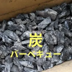 バーベキュー炭　木炭　消し炭のサムネイル
