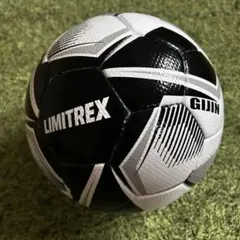 Item thumbnail for item 39ff13ac-88d1-4643-b038-91370ee491a7