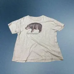 Item thumbnail for item e260b507-cc56-4250-86c9-8fbc619eb0c0