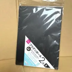DAISO プラダンボール A4サイズ 2枚入 黒 DIY 工作