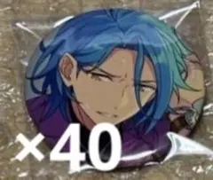 HiMERU あんスタ コレクション 缶バッジ Sep casual 40個