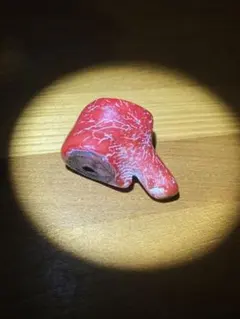 赤山珊瑚（マウンテンコーラル）根付け