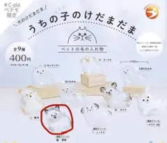 うちの子けだまだま　限定アソート　黒柴