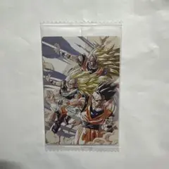 hayato8810様 リクエスト 2点 まとめ商品