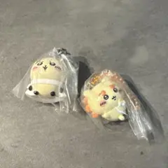 （匿名配送）ちいかわマスコットつきビスケット　 シーサー　ラッコセット