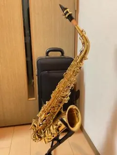 とてもきれいな状態YANAGISAWA ヤナギサワ アルトサックス　A-WO10のサムネイル