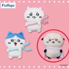 Item thumbnail for item cc130ea0-ce08-4e68-8a84-1b7925915534